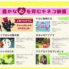 「岡山県民共済presents おうちで おかやまキネコ映画祭」スタート♪ | OHK　岡山放送